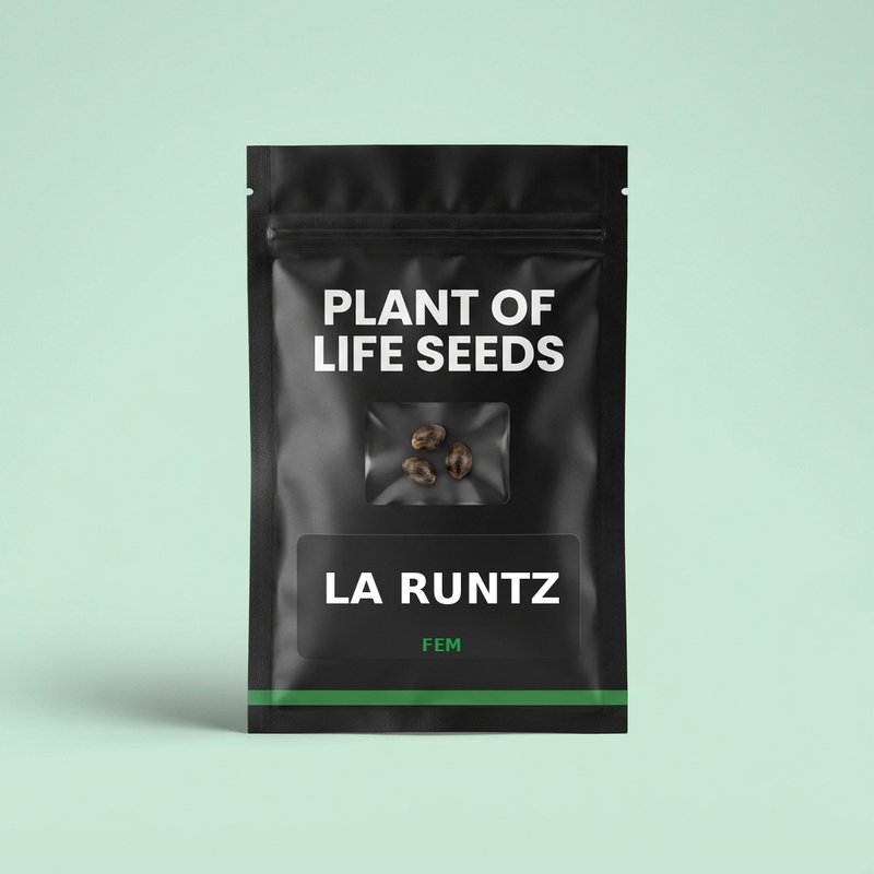 LA RUNTZ