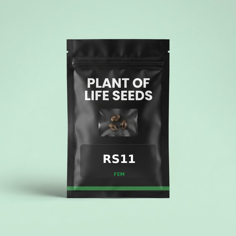 RS11