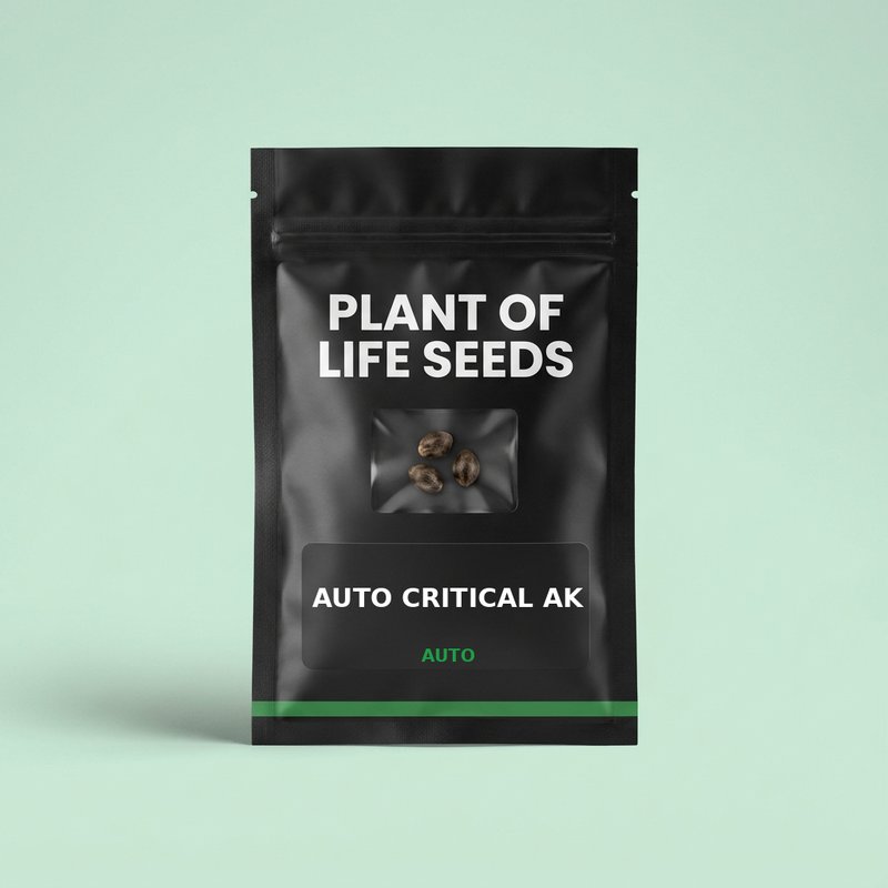 AUTO CRITICAL AK