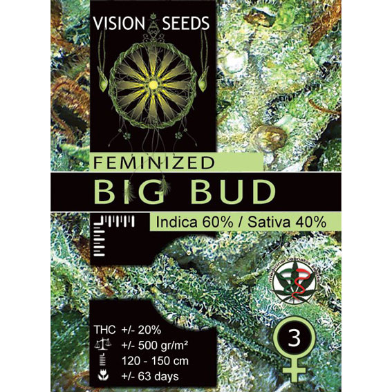 Big Bud Feminized