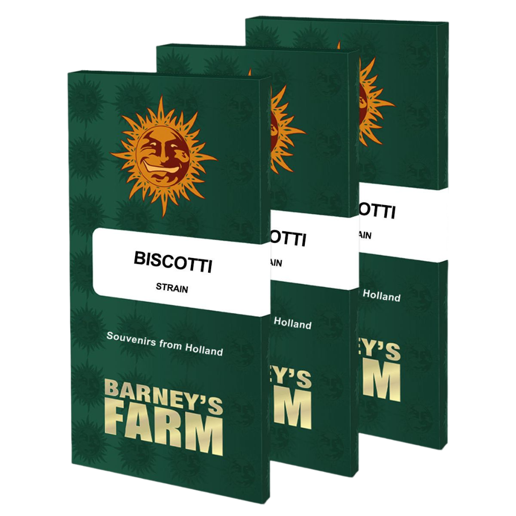 Barney's Farm - Biscotti - Pack of 3 Seeds
