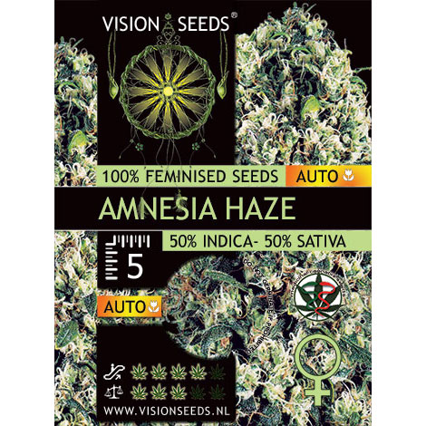 Amnesia Haze Autoflowering Feminized