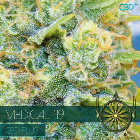 Medical 49 CBD+ Feminized