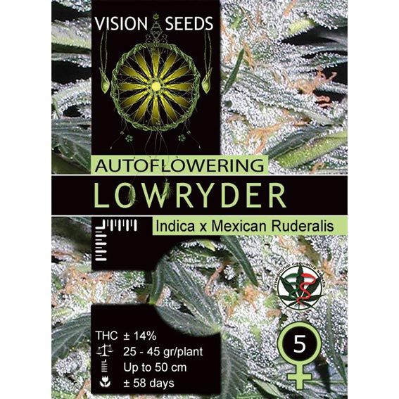Lowryder Autoflowering Feminized - 5 Seeds
