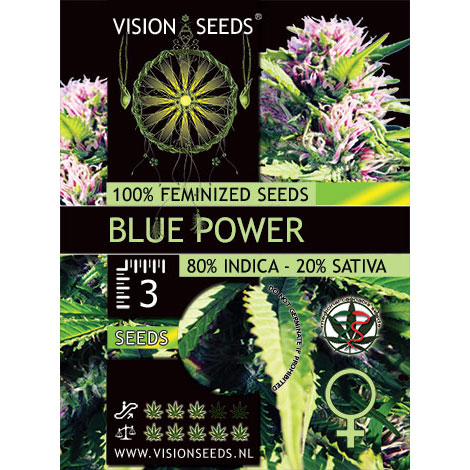 Blue Power Feminized